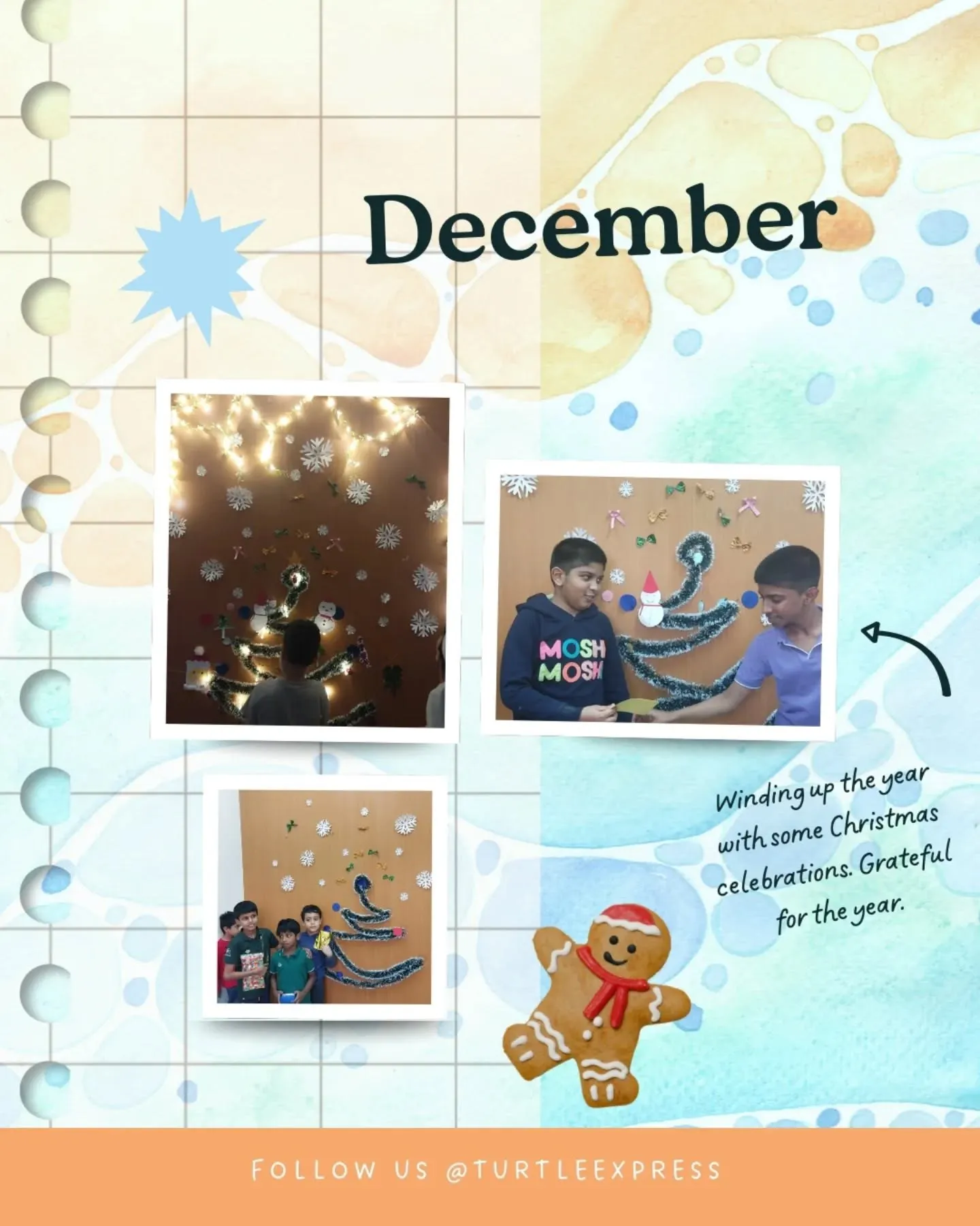 Turtle Express highlights, December 2025
